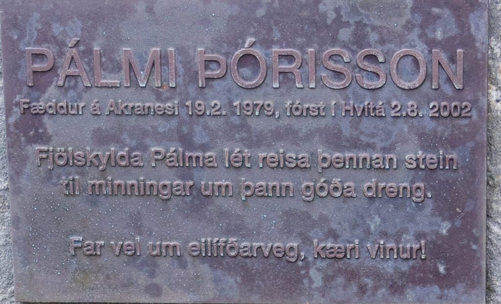 Pálmi Þórisson