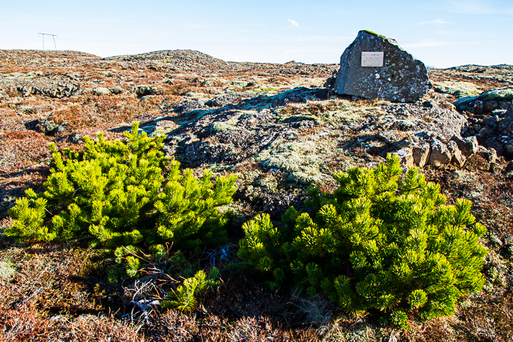 Árni Vigfús Árnason