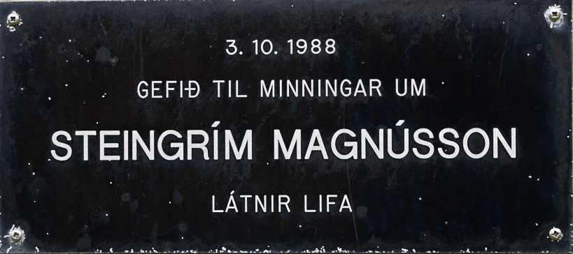 Steingrímur Magnússon