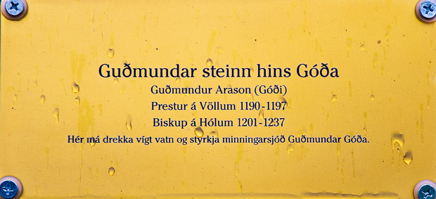 Guðmundur góði Arason