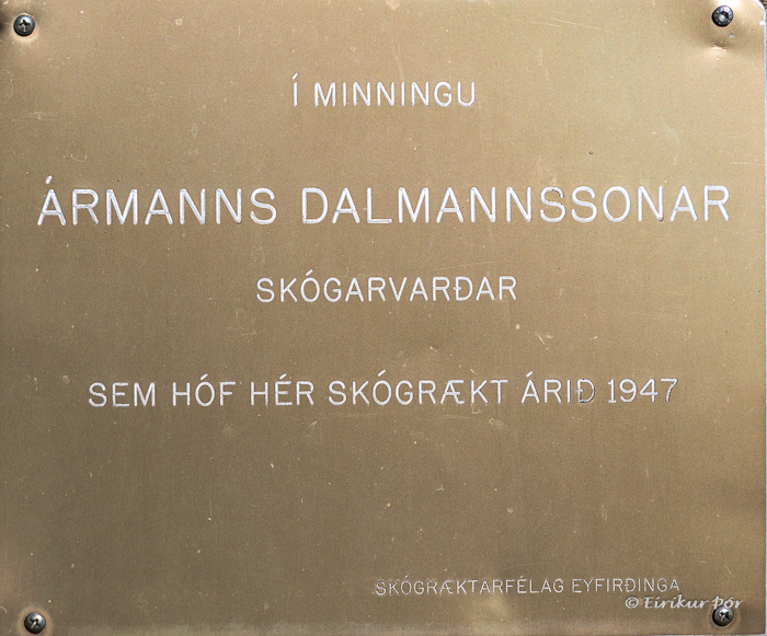 Ármann Dalmannsson