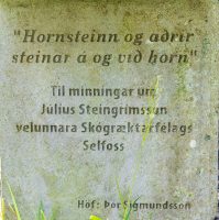 Júlíus Steingrímsson