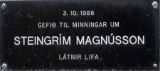 Steingrímur Magnússon