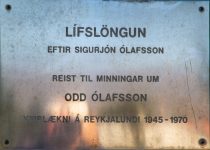 Ólafur Oddsson